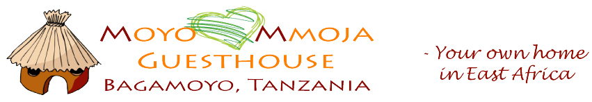 Moyo Mmoja Guesthouse