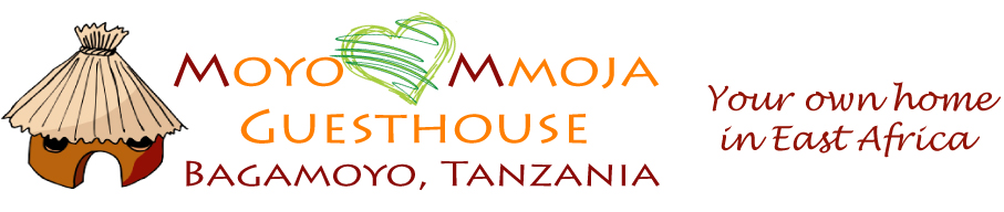 Moyo Mmoja Guesthouse